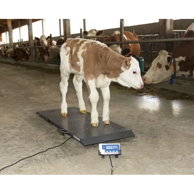 Våg Brecknell PS1000 500kg