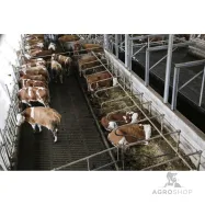 Stallkamera Kerbl IPCam 360 FHD, 5x zoom