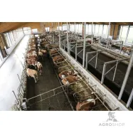 Stallkamera Kerbl IPCam 360 FHD, 5x zoom