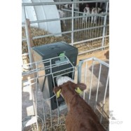 Feed Box Large for Calf House Fencing