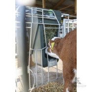 Feed Box Large for Calf House Fencing