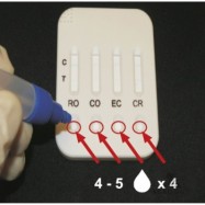 4D-snabbtest för nötkreatur och kalvar 5-pack