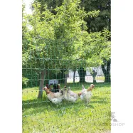 Elstängselnät PoultryNet för höns 1,06x50m med fotstöd