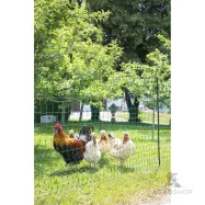 Elstängselnät PoultryNet för höns 1,06x50m med fotstöd