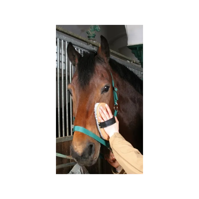 Ryktborste Kerbl Brush&Co 22cm