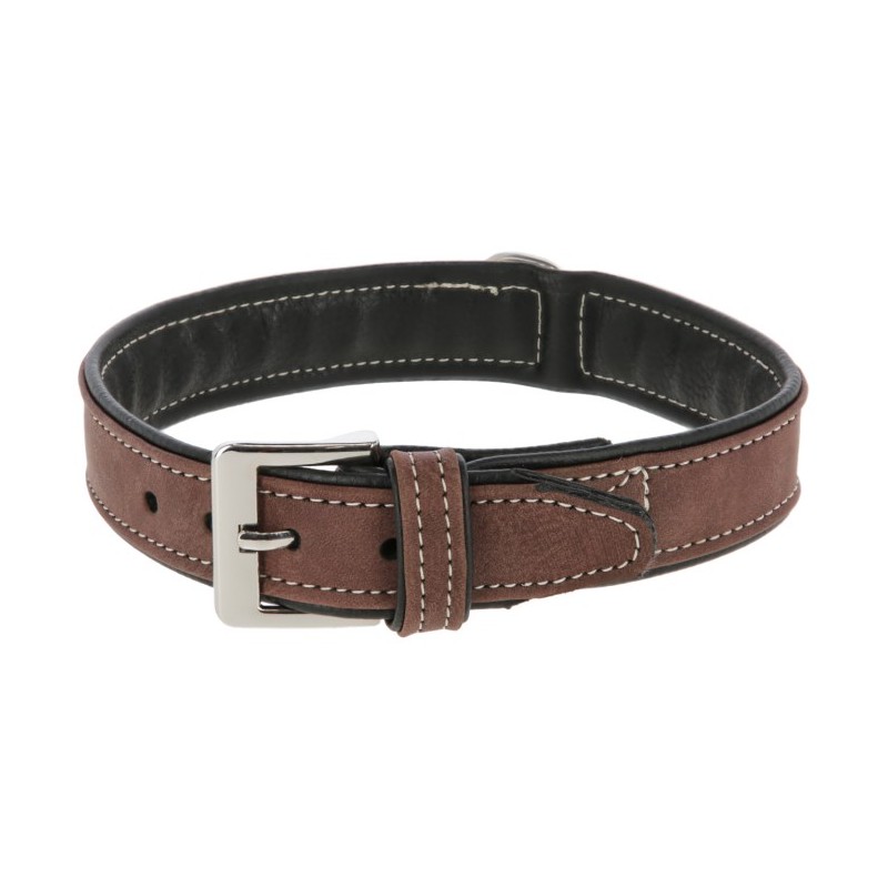 Hundhalsband California 37-43cm