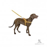 Hundsele med reflexer 60-75cm