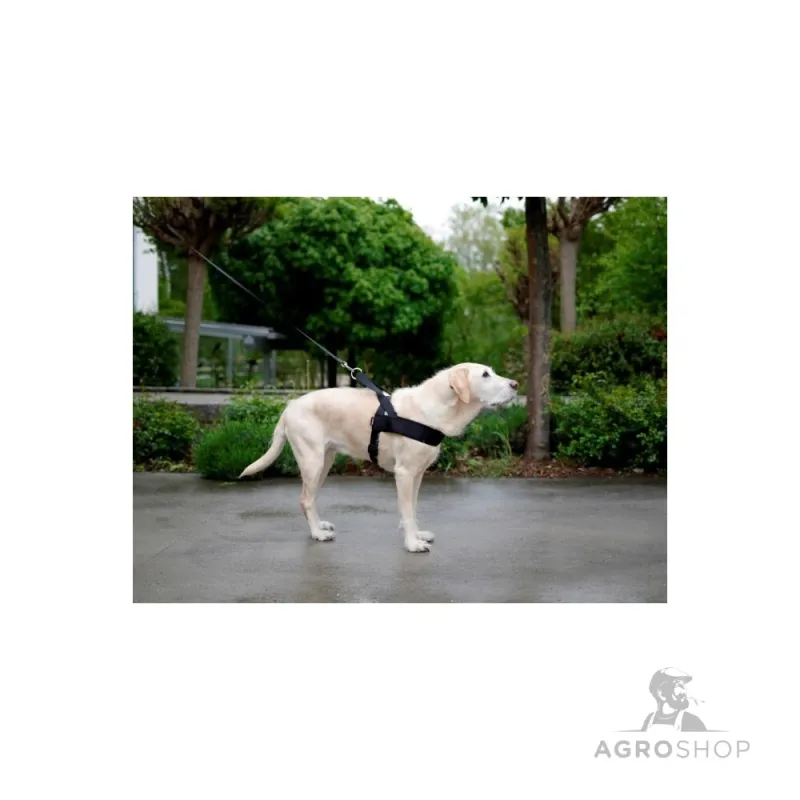 Hundsele Miami Plus 60-75cm