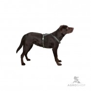 Hundsele med reflexband Xenos 15x30-40cm svart/gul