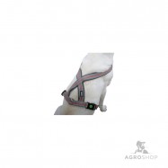 Hundsele med reflexband Xenos 15x30-40cm grå/röd