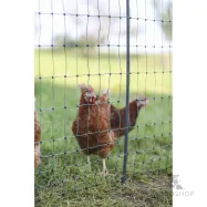 Hönsnät PoultryNet Premium