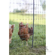 Hönsnät PoultryNet Premium