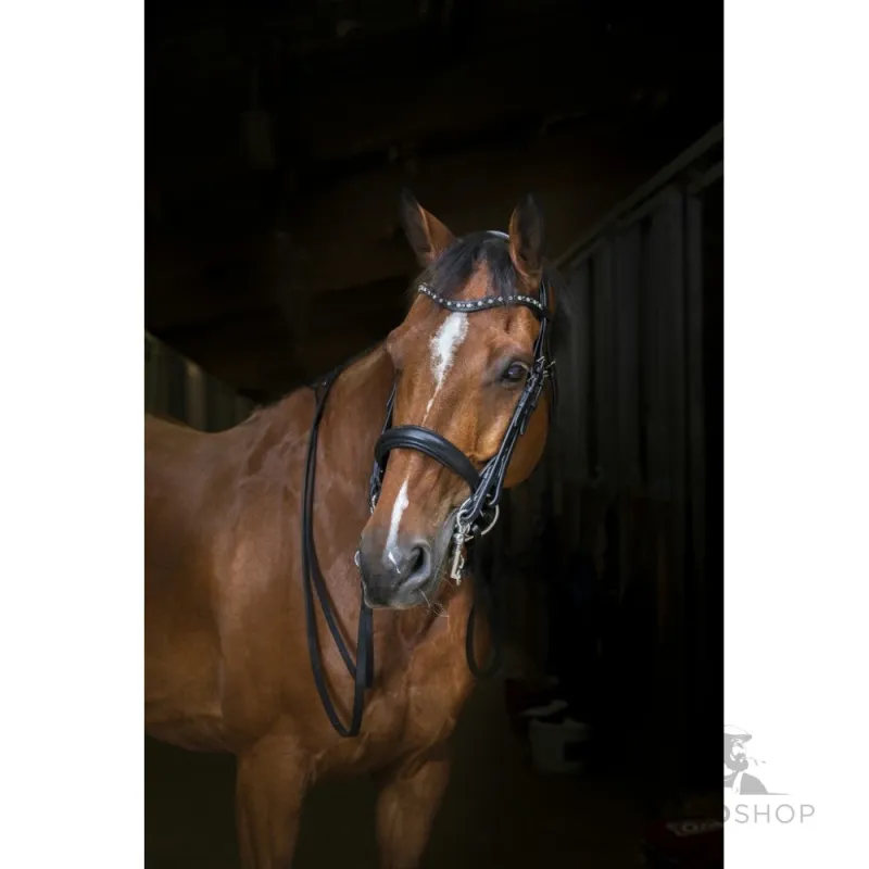 Kandar Hybrid Eric Thomas