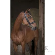 Kandar Norton Pro
