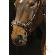 Hackamore träns Norton Pro