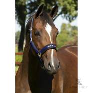 Grimma Werano Back On Track