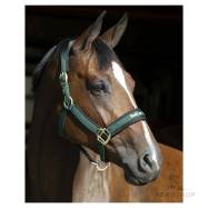 Grimma Werano Back On Track