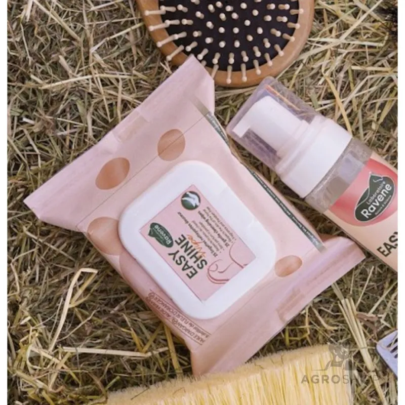 Rengöringsservetter Easy Shine Ravene 25st