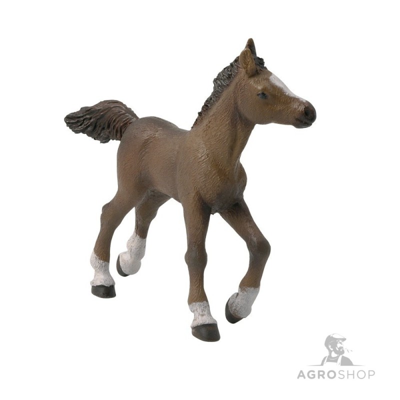 PAPO hästfigur Anglo-arab föl