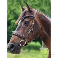 Anatomisk grimma för longering Waldhausen