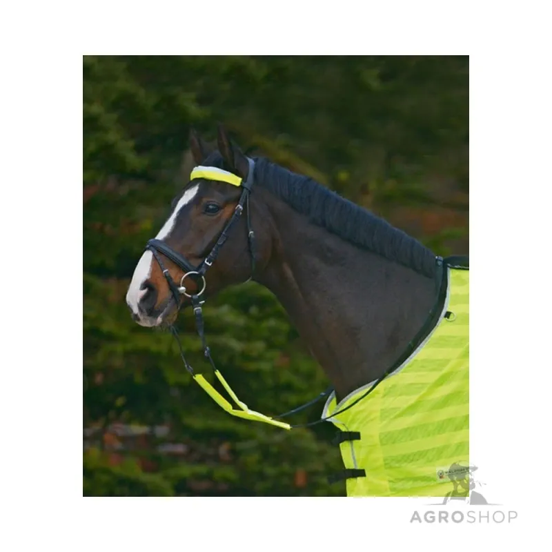 Reflexöverdrag för träns  Reflex Waldhausen