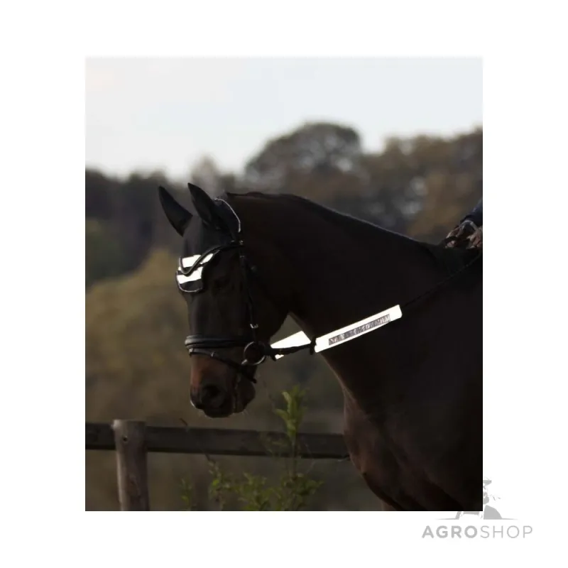 Reflexöverdrag för träns  Reflex Waldhausen