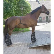 Lastningshjälp för hästtransport Waldhausen