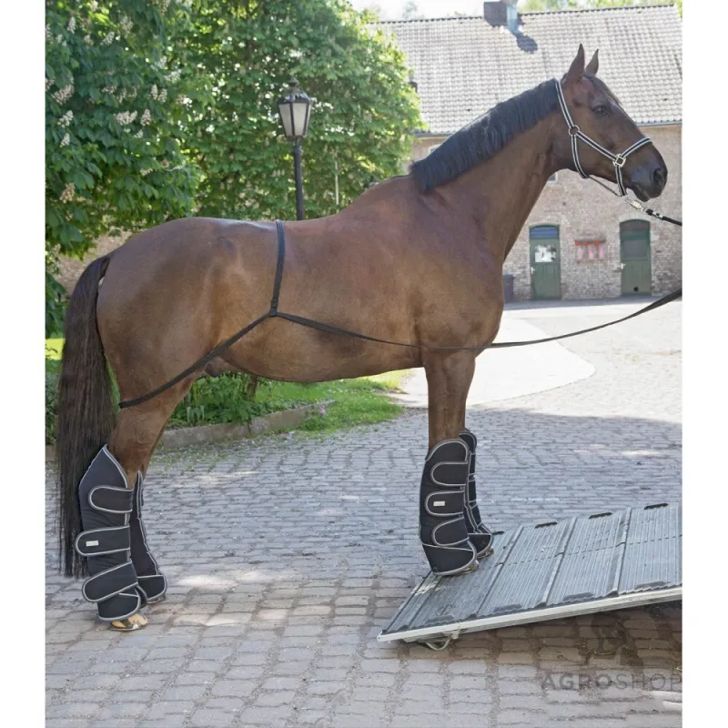 Lastningshjälp för hästtransport Waldhausen