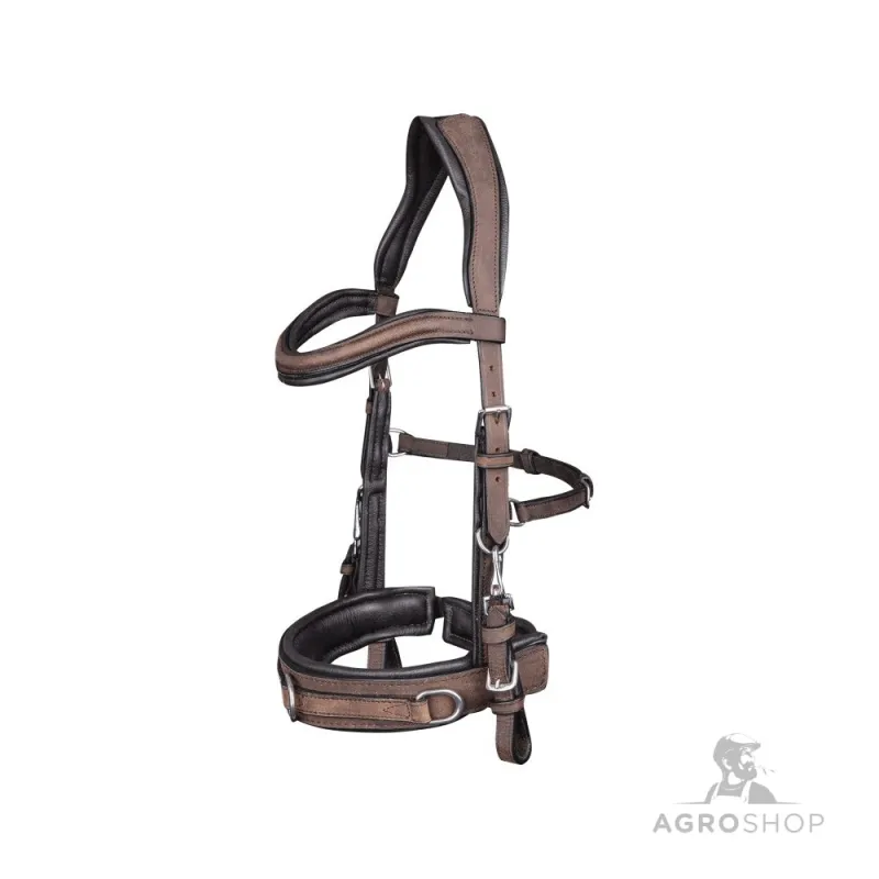 Anatomisk grimma för longering Waldhausen