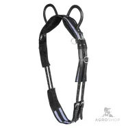 Voltigegjord Waldhausen