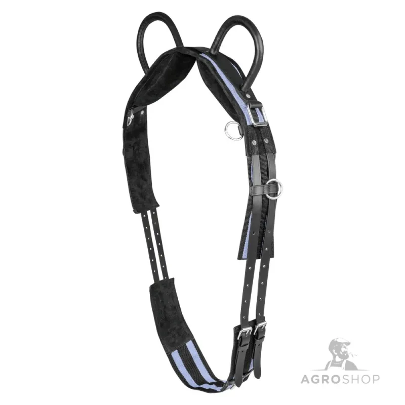 Voltigegjord Waldhausen