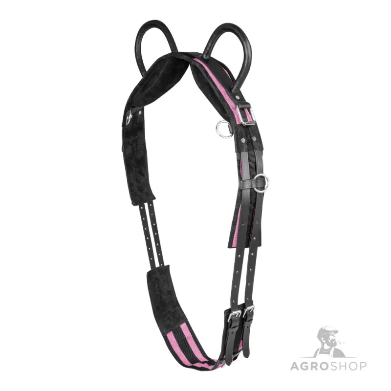 Voltigegjord Waldhausen