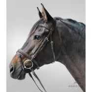 Träns Lifestyle Star