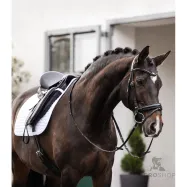 Dressyrschabrak Classic Waldhausen