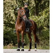 Dressyrschabrak Valencia Waldhausen