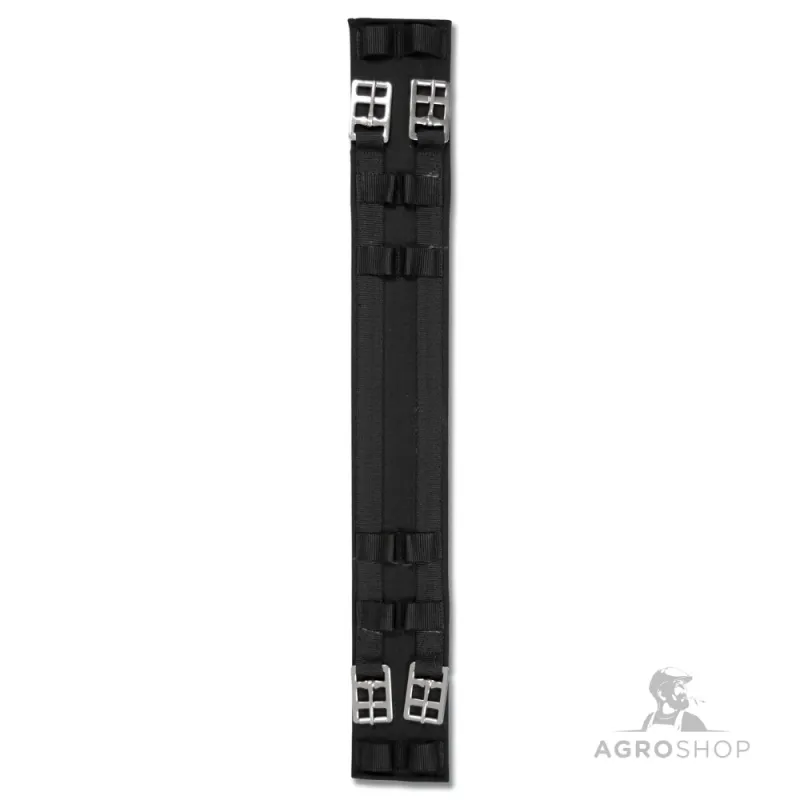 Dressyrgjord Economic Waldhausen