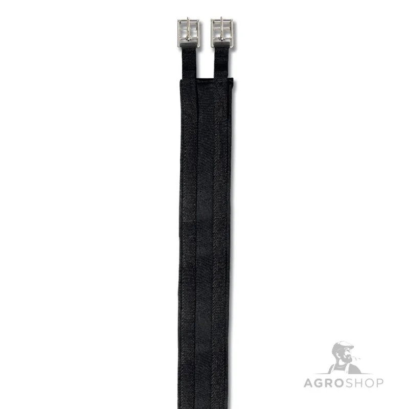 Sadelgjord Economic Waldhausen