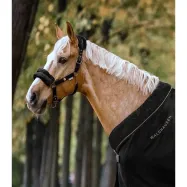 Grimma Modern Rosé Waldhausen