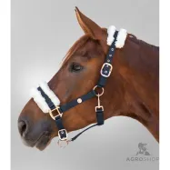 Grimma Modern Rosé Waldhausen