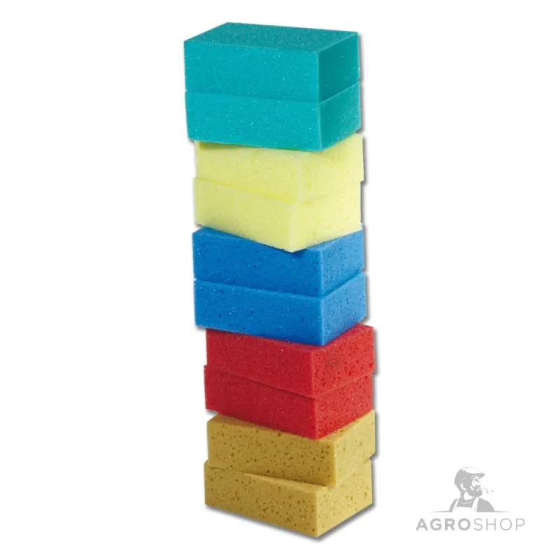 Rengöringssvamp Waldhausen