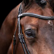 Träns Legacy HV Polo