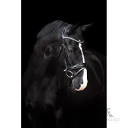 Träns Fria Imperial Riding