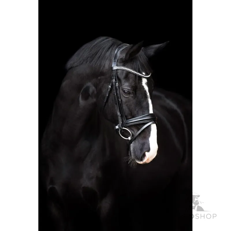 Träns Fria Imperial Riding