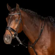 Thiedemanntygel Core Imperial Riding