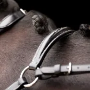 Martingal Legacy HV Polo