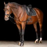 Glidande sidotygel Core Imperial Riding