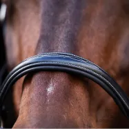 Lädergrimma Legacy HV Polo