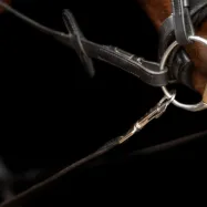 Sidotyglar i läder Core Imperial Riding