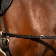 Sidotyglar i läder Core Imperial Riding