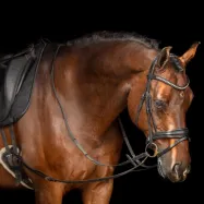 Sidotyglar i läder Core Imperial Riding